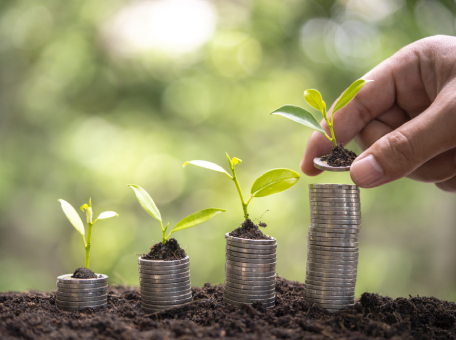 narava, okolje, kovanci, kalčki, kalitev, rastline, zeleno