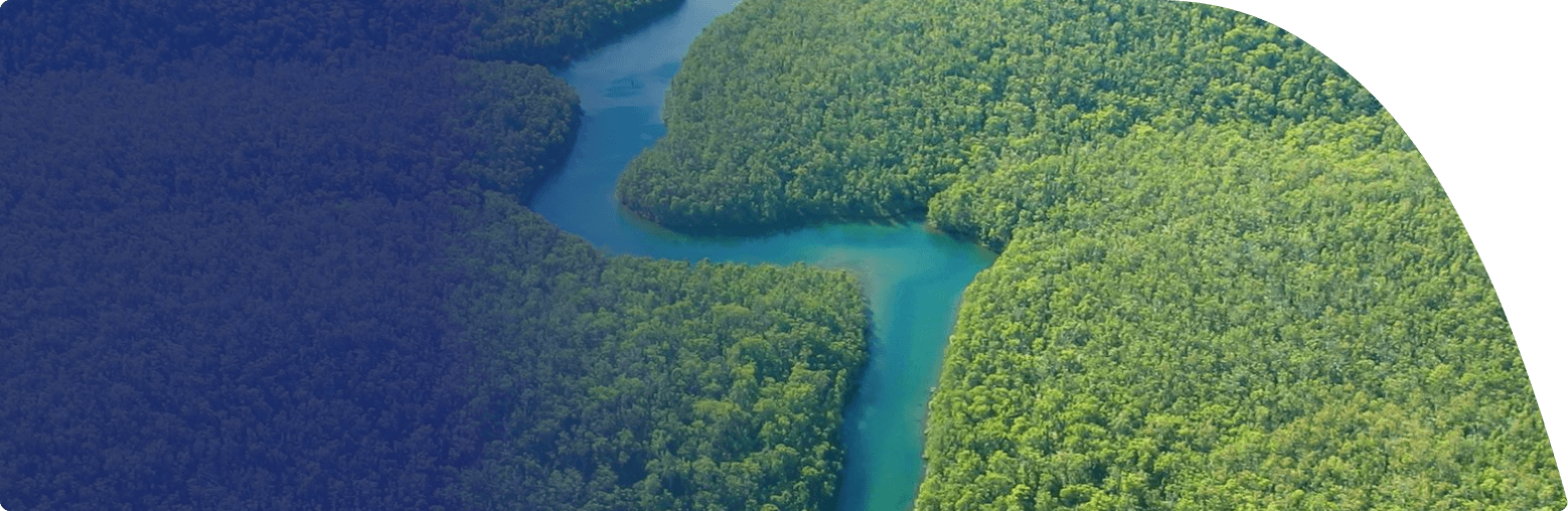 narava, gozd, reka, okolje, zeleno